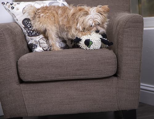 goDog Fuzzy Wuzzy Lamb Squeaky Plush Dog Toy, Chew Guard Technology - Assorted, Small