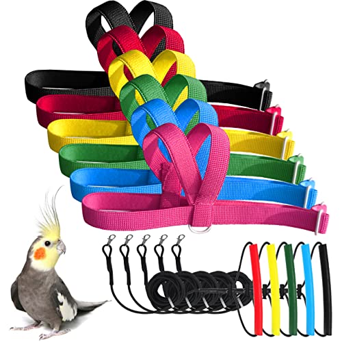 VANFAVORI Adjustable Bird Harness with 80 Inch Leash, Outdoor Flying Training Rope Kit for Bird Parrots S Size Weight 75-1...