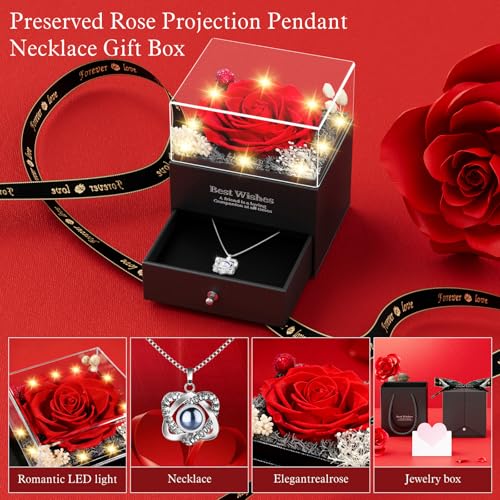 Preserved Red Rose Necklace with I Love You Heart - Forever Flowers Romantic Gifts for Women Mom Wife Girlfriend Grandma, ...