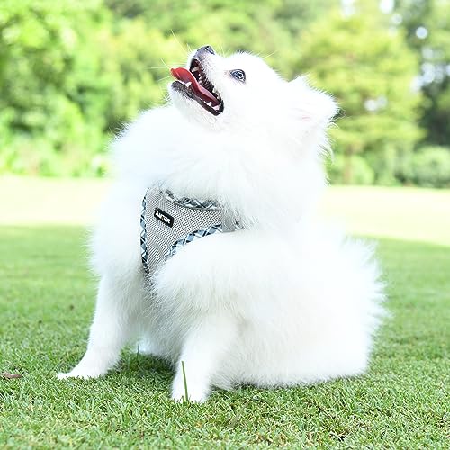 AMTOR Small Dog Harness with Leash Set, No Escape Easy Walk Puppy Harnesses for Training Walking, Step-in Reflective Soft ...