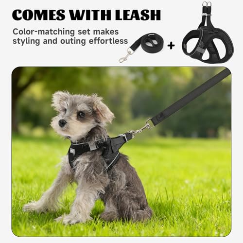 Bolux Dog Harness Small Sized and Leash Set, Step in Soft Light Puppy Vest, Breathable Mesh Pet Harness, Reflective for Sa...