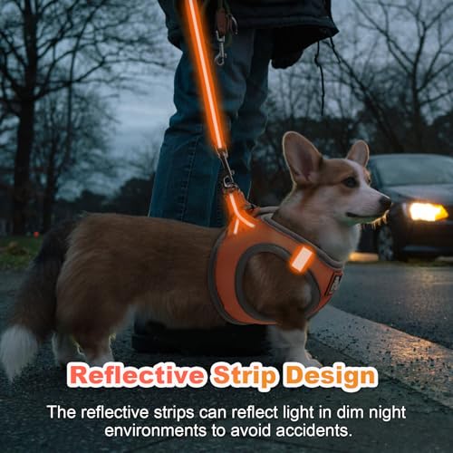Dog Harness Medium Sized Dogs, Puppy Harness and Leash Set for Training, Running, Walking, Suitable for Small and Medium D...