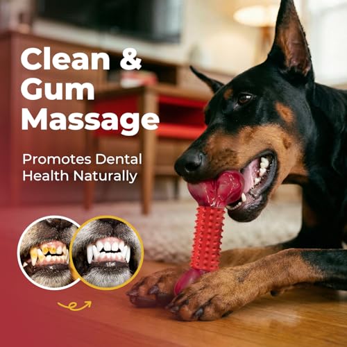 Apasiri Tough Dog Toys for Aggressive Chewers: Beef Flavored Long Lasting Dog Bones for Large Dogs, Heavy Duty Nylon & Rub...