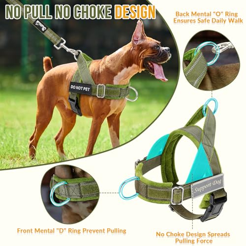 SlowTon No Pull Dog Harness - Heavy Duty Dog Harness and Leash Set for Medium Large Dogs, Reflective Tactical Harness with...