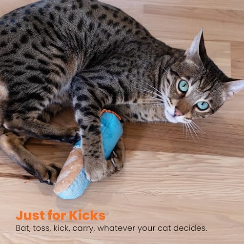 Catstages Loaf Kicker Toy with Catnip and Dental Mesh, Bread Shape, Plush and Ribbon Cat Toy for Kicking, Tossing, and Tee...