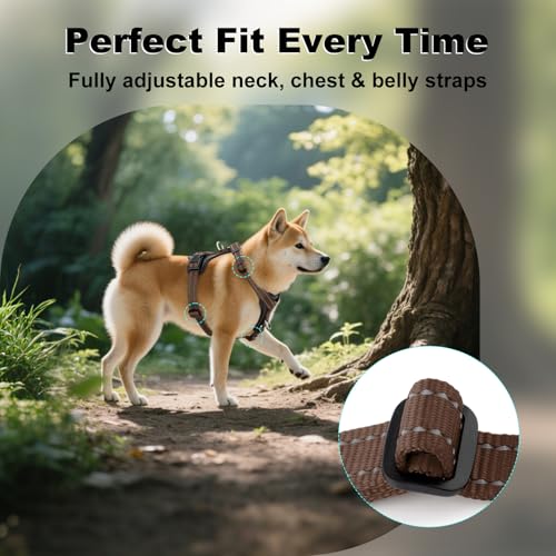 Plutus Pet Adjustable No Pull Dog Harness with Leather Accents, Heavy Duty Reflective Nylon Vest for Training, Hiking, Eas...