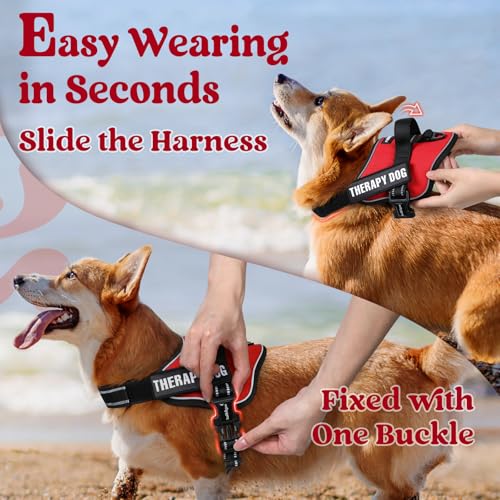 rabbitgoo Dog Harness Medium Sized Dog, Easy Wearing with One Buckle, No Choke No Pull Harness Buddy, Adjustable Reflectiv...