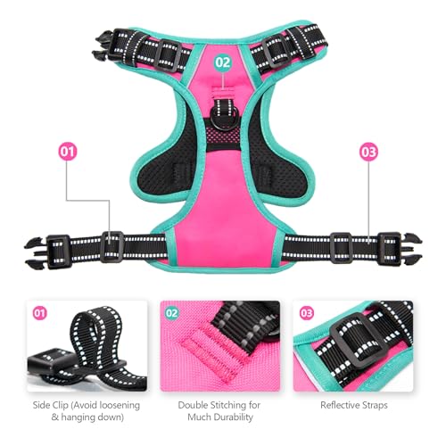 PHOEPET 2019 Upgraded No Pull Dog Harness, Reflective Adjustable Vest, with a Training Handle + 2 Metal Leash Hooks+ 3 Sna...