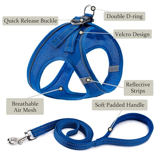 BOOMIBOO Dog Harness with Leash Set, No Pull Adjustable Reflective Step-in Puppy Pet Vest Harnesses for Small Medium Large...