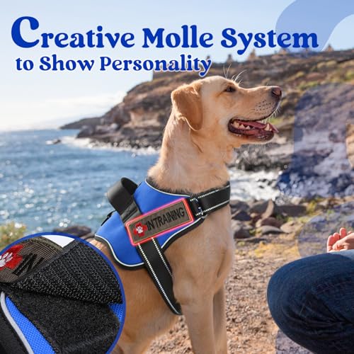 rabbitgoo Dog Harness Medium Sized, No Pull No Choke Pet Vest, Easy Wearing with One Buckle, Reflective, Adjustable Pet Ha...