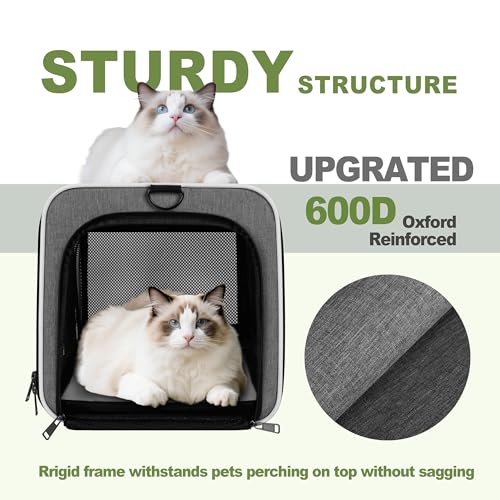 GAPZER Cat Carrier 18x11x11 Top Load Soft Pet Travel Bag Over 15 lbs, Collapsible Small Dog Puppy Crate 10 Pounds, Small A...