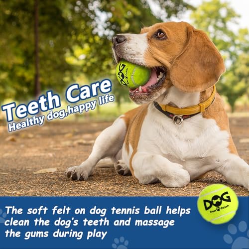 INSUM Tennis Balls for Dogs - 12 Pack 2.5'' Durable Non-Toxic Outdoor Dog Toys Balls with Mesh Bag, SGS Certified, Colorfu...