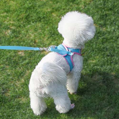 Small Dog Harness and Leash Set, No-Pull Reflective Puppy Harness for Outdoor Walking, Breathable Mesh Girl Cats Vest for ...