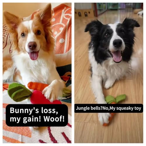 MewaJump Dog Squeaky Chew Toys for Aggressive Chewers, Easter Toys Rubber Carrot Dog Toys for Training and Cleaning, Durab...