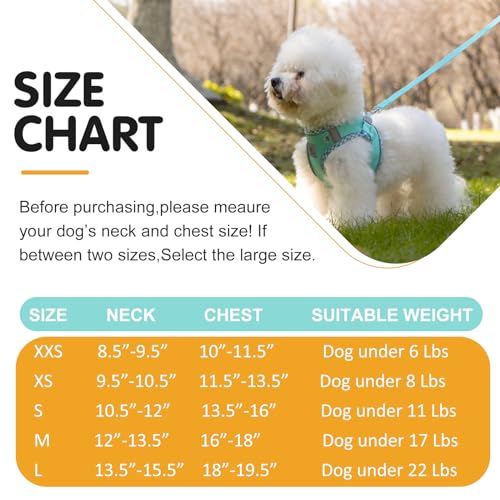 TomteNisse Dog Harness and Leash Set, No Pull Pet Harness for Small Dogs Easy Walking,Soft Breathable Small Dog Harness,Ad...
