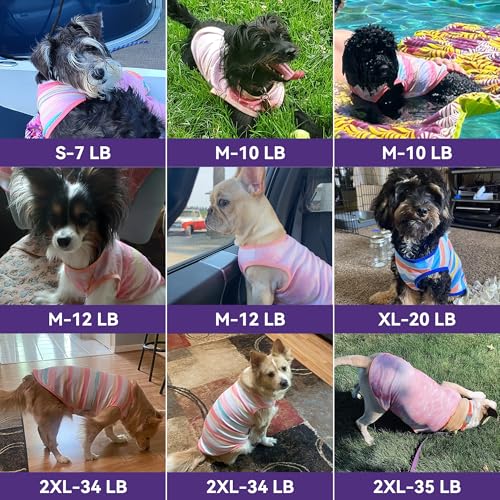 cyeollo 2pack Dog Cooling Shirt, Breathable Sleeveless Summer Clothes for Dogs, Intant Cool T Shirts for Small Dogs, Pink M