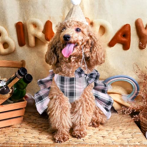 Dog Dress Bowknot Harness Leash Set for Small Dogs Girl Cute Plaid Dog Dress Pearls Bow Tie Spring Summer Princess Clothes...