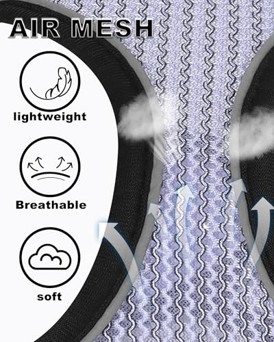 VernAlly Dog Harness Small Sized and Leash Set, Step in Soft Light Puppy Vest, Breathable Mesh Pet Harness Suitable for Pu...