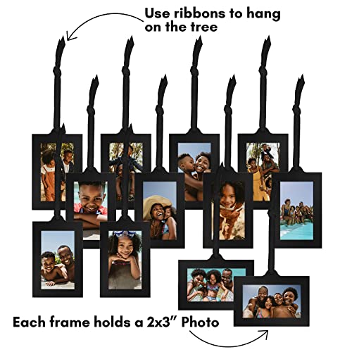 Americanflat Family Tree Picture Frame - Includes 12 Hanging 2x3 Picture Frames - Adjustable Ribbon Tassels - Ideal as Mot...