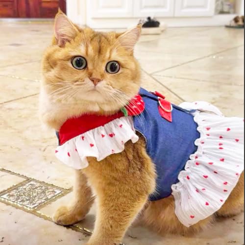 ANIAC Denim Dog Dress Harness with Leash Set Cute Small Dogs Clothes Girl Heart Patterns Puppy Dresses Breathable Mesh Cat...
