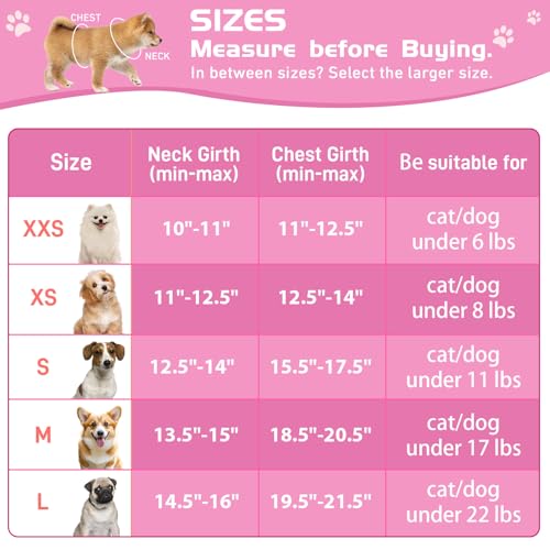HIHANHAN Soft Mesh Dog Harness and Leash Set, No Pull Puppy Harness and Leash Set, Reflective Step in Harness for Small Me...