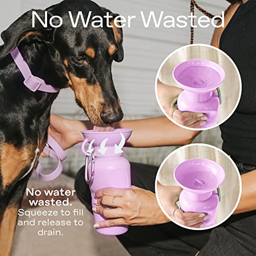 Springer Dog Water Bottle | Portable Travel Drinking Feeder Dispenser for Dogs & Puppies | As Seen on Shark Tank | Leak-Pr...