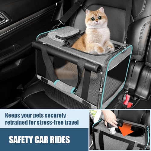 GAPZER Cat Carrier Alaska Airline TSA Approved 17x11x9.5 Soft-Sided Small Pet Air Travel Carry Bag, Southwest Airplane Kit...