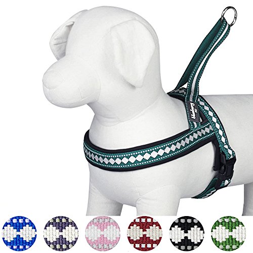 Blueberry Pet 6 Colors Soft & Comfy Jacquard Padded Dog Harness, Chest Girth 21.5" - 27.5", Teal Blue, S/M, Reflective Adj...