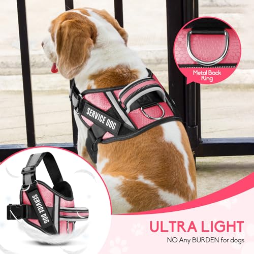 Service Dog Vest Harness and Leash Set, Animire in Training Dog Harness with 10 Dog Patches, Reflective Dog Leash with Sof...