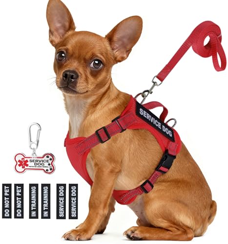 Service Dog Vest for Small Breed Dogs with ID Tag – Lightweight Puppy Harness and Leash Set with 6 PCS Patches, Ideal Serv...