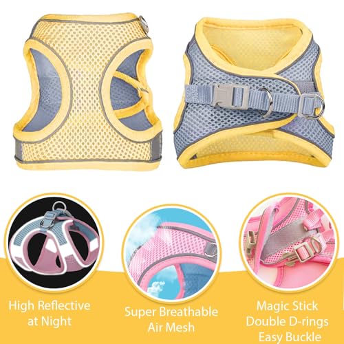 PETPUBGNZS Soft Small Dog Harness and Leash Set Mesh Puppy Harnesses Leash Easy Walk Dog Vest Adjustable Reflective No Pul...