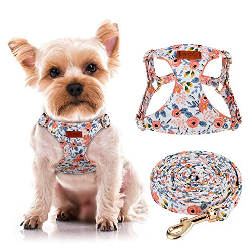 CHEDE No Pull Floral Pattern Dog Harness- Lightweight, Soft, Adjustable Small Harness and Leash Set, Suitable for Puppy Sm...