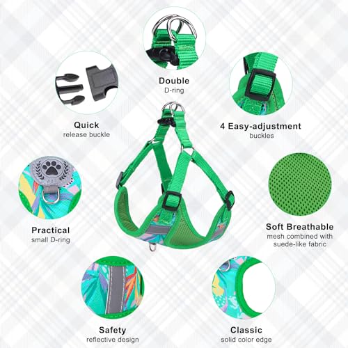 BEAUTYZOO Step in Dog Harness Collar and Leash Set for Small Medium Large Dogs, No Pull No Choke Puppy Harness, Soft Mesh ...