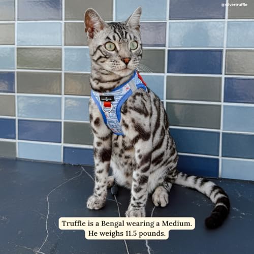 Lucy & Co. Tinned Fish Step-in Cat Harness & Leash Bundle – Reflective, Breathable & Adjustable Harness for Cats, Kittens...