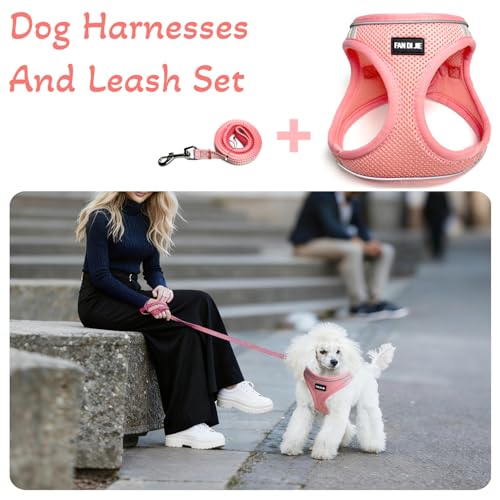 Dog Harness and Leash Set, No Pull Soft Mesh Pet Harness -in Puppy Pet Vest Harnesses for XS,Small,Medium Dogs and Cats Pi...