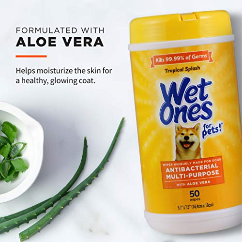 Wet Ones for Pets Antibacterial Dog Wipes, Multi-Purpose Grooming Wipes with Aloe Vera for Paws, Face & Body, Easy Cleanup...