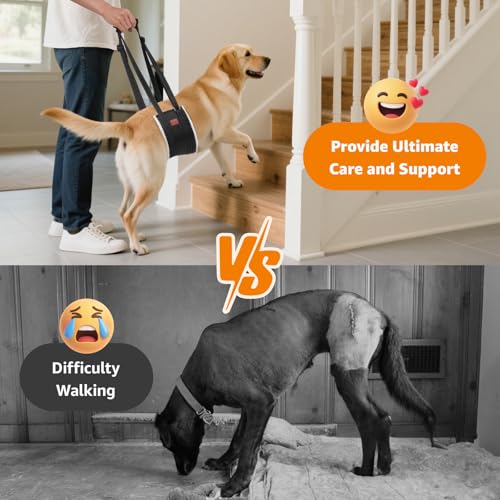 LOOBANI Portable Dog Sling for Back Legs, Hip Support Harness to Help Lift Rear for Canine Aid Old K9 Cruciate Ligament Re...