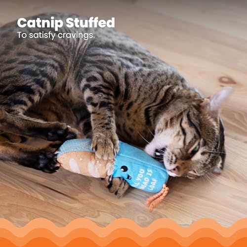 Catstages Loaf Kicker Toy with Catnip and Dental Mesh, Bread Shape, Plush and Ribbon Cat Toy for Kicking, Tossing, and Tee...