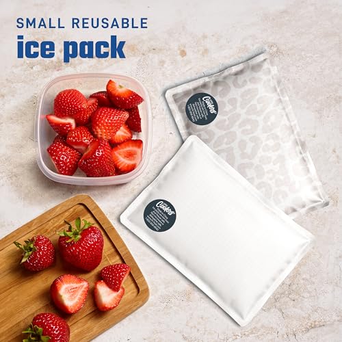 Fit & Fresh Cool Coolers 2 Pack Soft Ice for Lunch Bags, Flexible Stretch Nylon, Durable, Reusable Lunch Box Ice Packs, So...