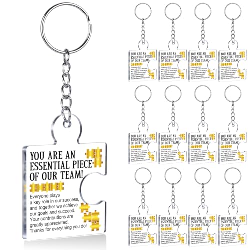 DRMNPKT Team Appreciation Gifts for Employee Coworker Staff Bulk, Teamwork Thank You Gift Set Puzzle Piece Acrylic Keychains