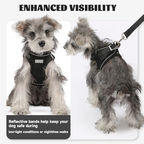 Bolux Dog Harness Small Sized and Leash Set, Step in Soft Light Puppy Vest, Breathable Mesh Pet Harness, Reflective for Sa...