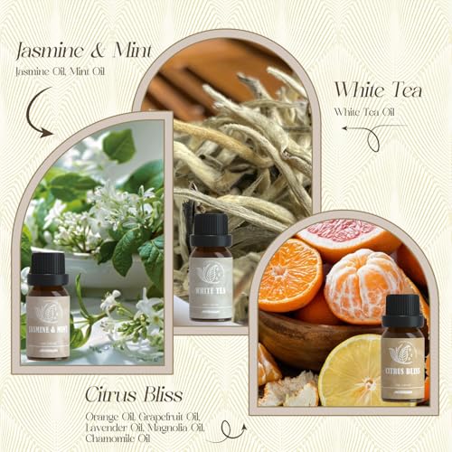 ARVIDSSON Hotel Diffuser Oils Gift Set, Hotel Essential Oils for Diffuser, Luxury Hotel Fragrance Oil Blend - Jasmine & Mi...