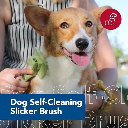 Coastal Pet Safari Dog Self-Cleaning Slicker Brush - Dog Deshedding Brush - Prevents Mats and Tangled Hair - For Dogs with...