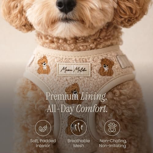 MAISON MALIBU Embroidered Matching Dog Harness and Leash Set with Poop Bag – No Pull, Adjustable, Padded, Breathable Harne...