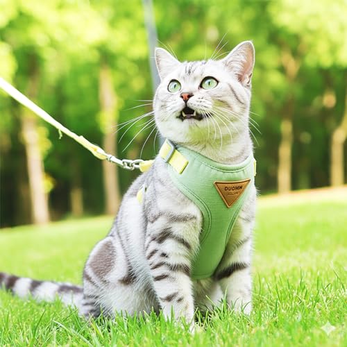 Escape-Proof Cat Harness and Leash Set - Adjustable and Comfortable - Ideal for Walking Cat Outdoors - Fits Small Dogs, Ki...