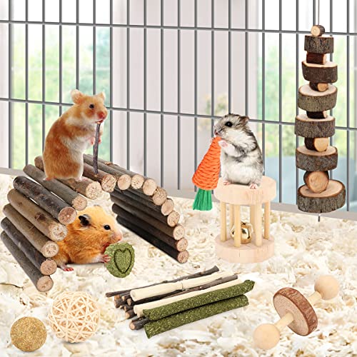 YIXUND Hamster Cage Accessories, 12 Different Chew Toys for Guinea Pig, Chinchillas, Gerbils, Mice, Rats, Mouse, Rabbit, B...