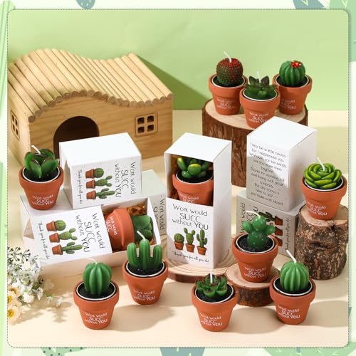 Lyrow 12 Sets Employee Appreciation Gift Cactus Tealight Candles Set Mini Handmade Succulent Candle Planter with Matchbox,...