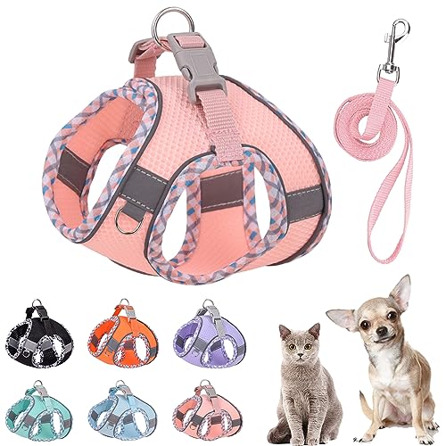PETPUBGNZS Cute Plaid No Pull Dog Harness for Small Dogs Soft Mesh Small Dog Harness and Leash Set Easy Walk Step in Puppy...