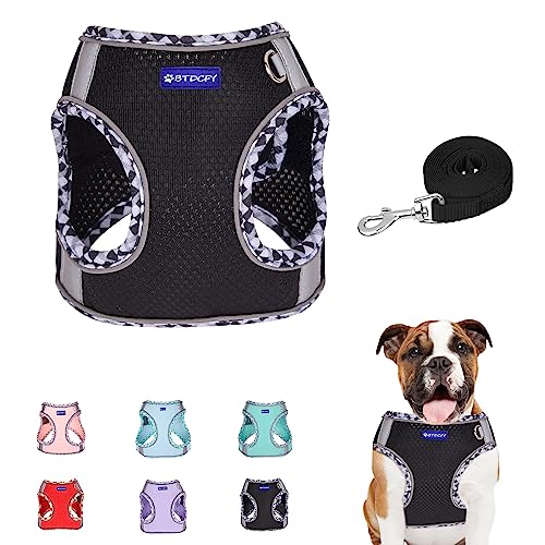 BTDCFY Step-in Mesh Dog Harness and Leash Set, Breathable Air Mesh, Reflective, Escape Proof, No Choke, Lightweight, Blac...