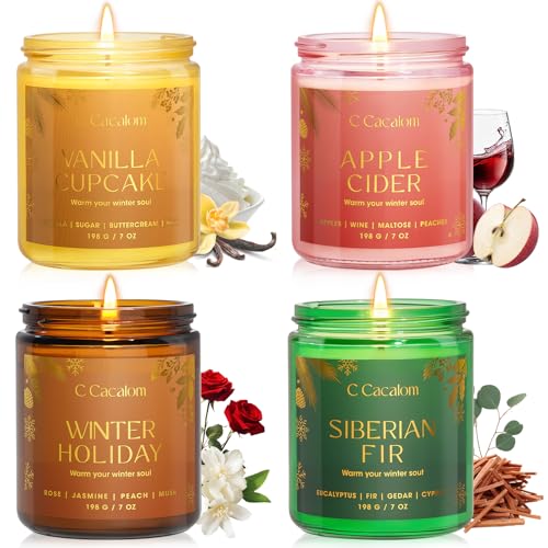 Winter Scented Candles, Holiday Candles for Home, Aromatherapy Soy Candles Gifts Set for Women Men, Vanilla/Fir/Apple Cide...